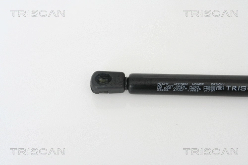Gas Spring, boot/cargo area