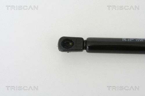 Gas Spring, bonnet