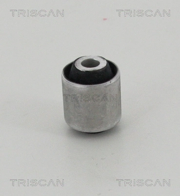 Mounting, control/trailing arm (8500 11889)