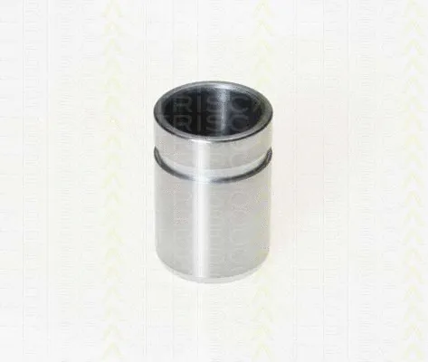 Piston, brake caliper (8170 233208)