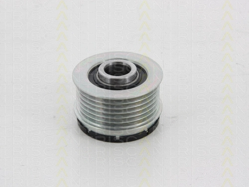 Alternator Freewheel Clutch (8641 284008)