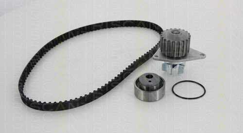Water Pump & Timing Belt Kit (8647 280001)