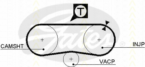 Timing Belt