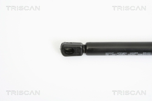 Gas Spring, boot/cargo area