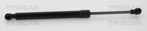 Gas Spring, boot/cargo area (8710 21215)
