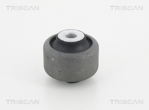Mounting, control/trailing arm (8500 23885)