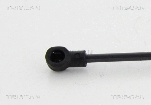 Gas Spring, boot/cargo area (8710 292023)