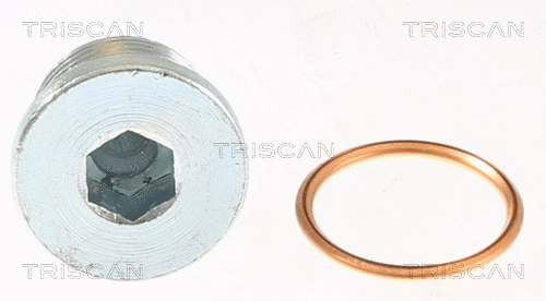 Screw Plug, oil sump