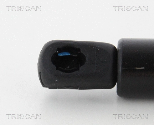 Gas Spring, boot/cargo area