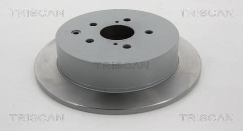 Brake Disc (8120 131039)
