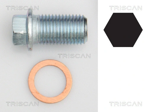 Screw Plug, oil sump (9500 1012)