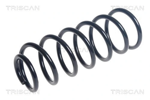 Suspension Spring (8750 43142)