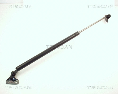 Gas Spring, boot/cargo area (8710 10201)