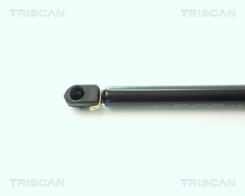 Gas Spring, boot/cargo area