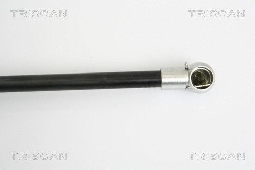 Gas Spring, boot/cargo area
