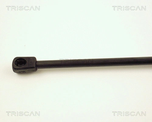 Gas Spring, boot/cargo area