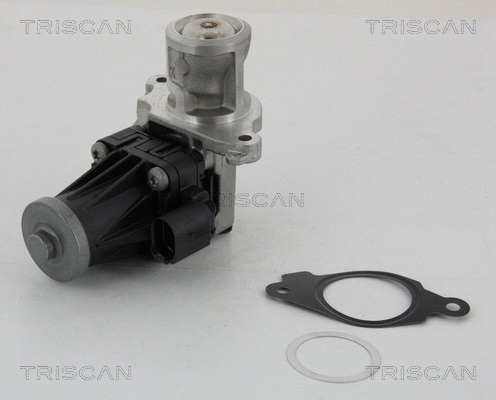 EGR Valve (8813 10004)