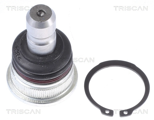 Ball Joint (8500 435057)