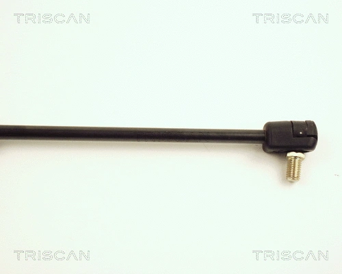 Gas Spring, boot/cargo area