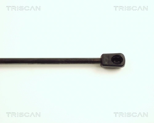 Gas Spring, boot/cargo area
