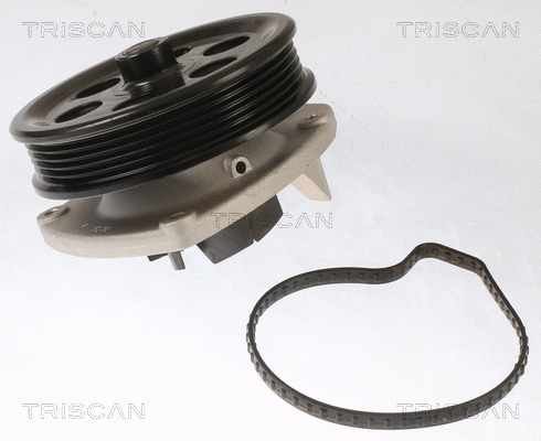 Water Pump, engine cooling (8600 10087)