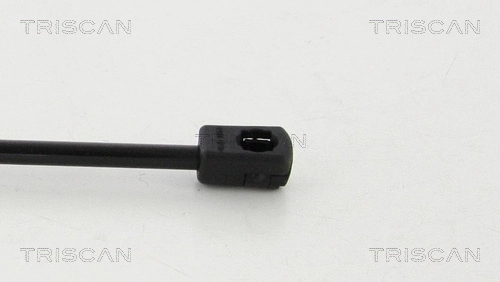 Gas Spring, boot/cargo area