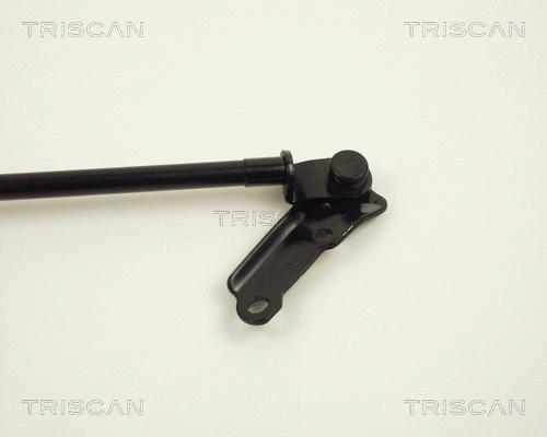 Gas Spring, boot/cargo area