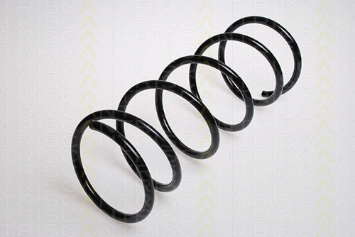 Suspension Spring (8750 2874)