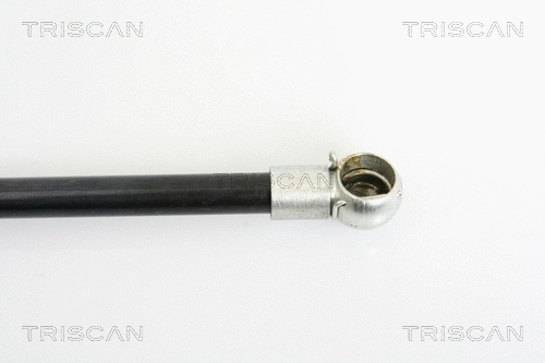 Gas Spring, boot/cargo area