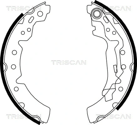 Brake Shoe Set (8100 13031)