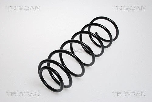 Suspension Spring (8750 29529)