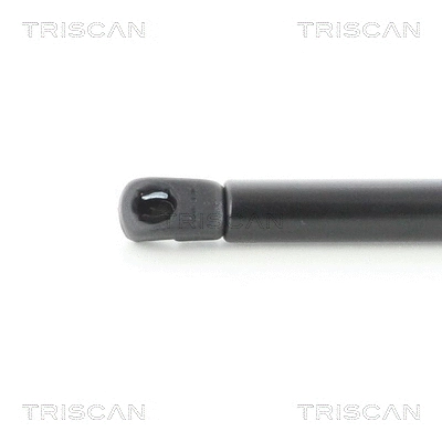 Gas Spring, boot/cargo area
