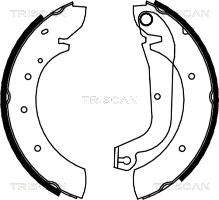 Brake Shoe Set (8100 15480)