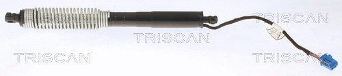 Gas Spring, boot/cargo area (8710 11356)