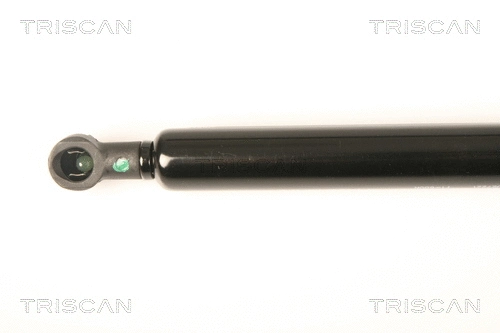 Gas Spring, boot/cargo area