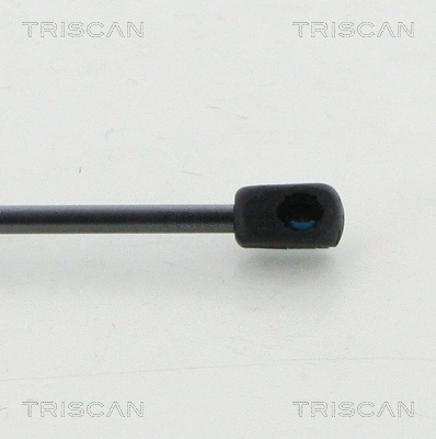 Gas Spring, boot/cargo area