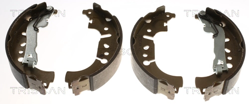 Brake Shoe Set (8100 15029)