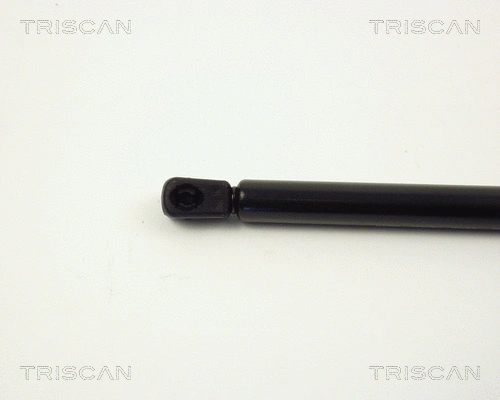 Gas Spring, boot/cargo area