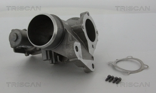 EGR Valve (8813 27001)