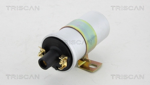 Ignition Coil (8860 10006)