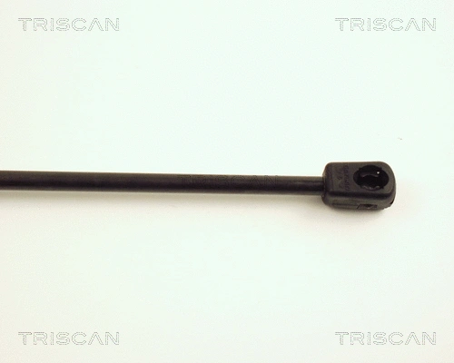 Gas Spring, boot/cargo area