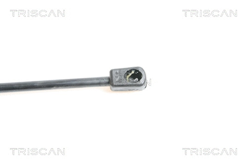 Gas Spring, boot/cargo area