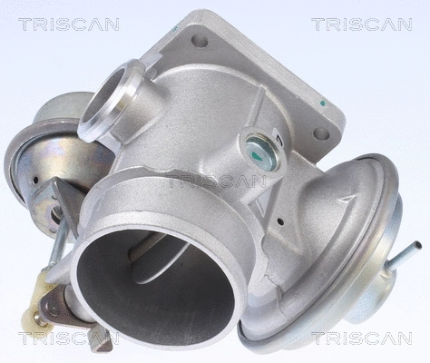 EGR Valve (8813 10034)