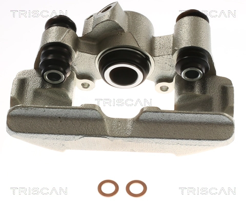 Brake Caliper (8175 13220)