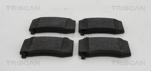 Brake Pad Set, disc brake (8110 80553)