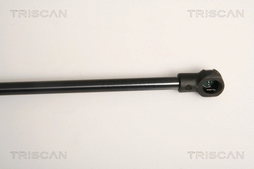 Gas Spring, boot/cargo area