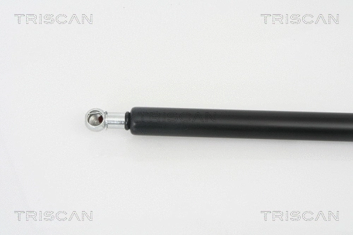 Gas Spring, boot/cargo area