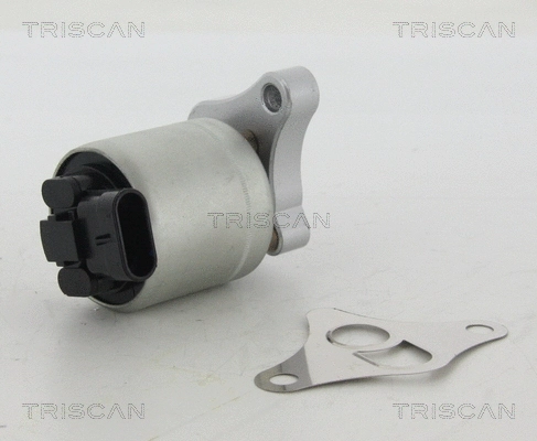 EGR Valve (8813 24002)