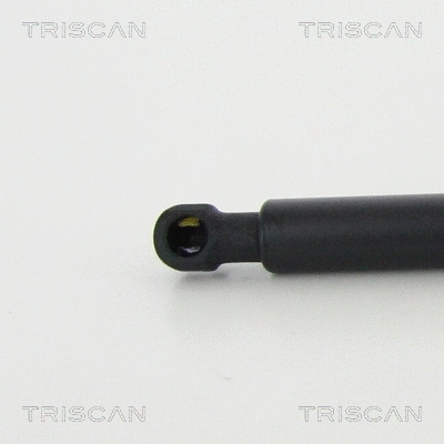 Gas Spring, rear window