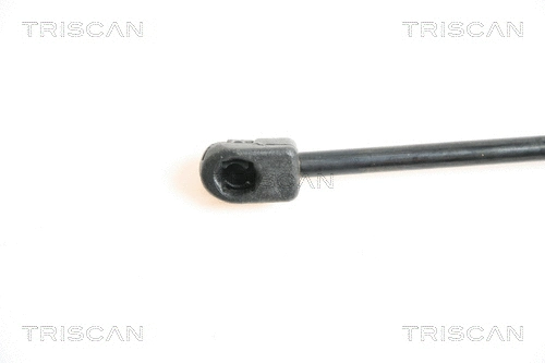 Gas Spring, bonnet